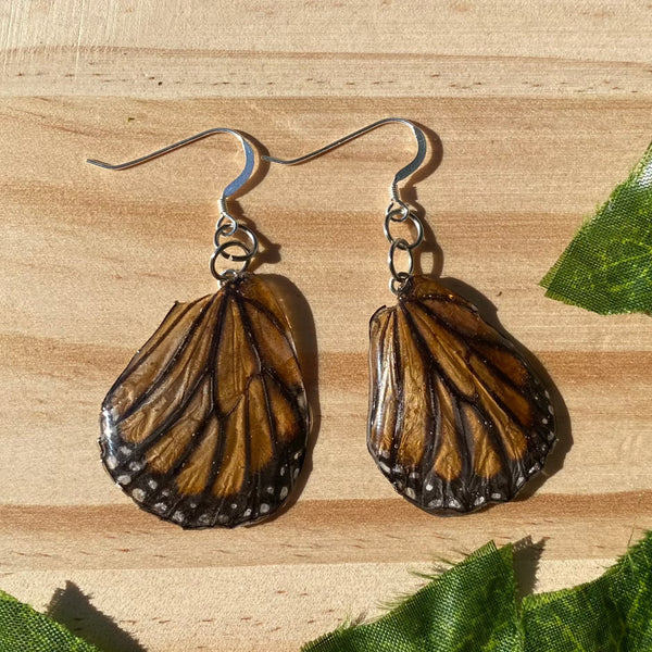 Monarch Butterfly Wings